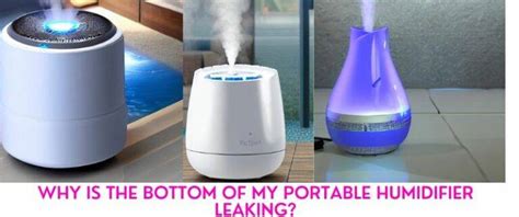 Why is My Humidifier Leaking from the Bottom: How。